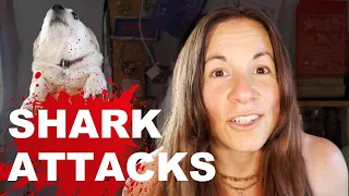 SHARK ATTACK explained - Why they happen and what to do