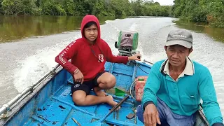 Mancing ikan Belida dan tapah Menggunakan Jebakan Ikan Pengilar di kalimantan Kapuas Hulu