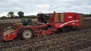 Harvesting Potatoes at Newtyle, Angus October 2020 - Gray of Auchrennie Grimme Varitron 470