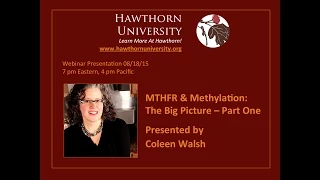 MTHFR & Methylation: The Big Picture - Part One with Coleen Walsh, MFA, MNT