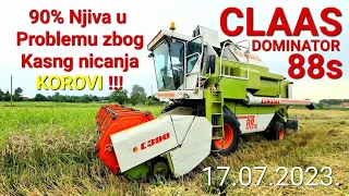 Zetva Psenice 17.07 2023. CLAAS DOMINATOR 88s Harvest
