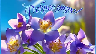 Доброе весеннее утро 😊💖Хорошего дня💞💗