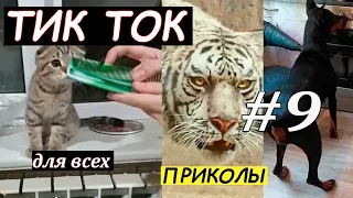 ПРИКОЛЫ ИЗ ТИК ТОК | ЧУДИКИ ИЗ ТИК ТОК | ЛУЧШИЕ ПРИКОЛЫ 2021 | НОВЫЕ ПРИКОЛЫ 2021 #9