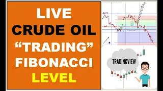 CRUDE OIL FIBONACCI - LIVE LEVEL TRADING &TRAINING