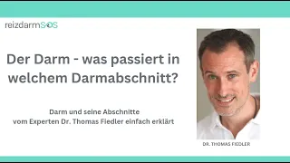 Der Darm - was passiert in welchem Darmabschnitt? - von Dr. med Thomas Fiedler einfach erklärt