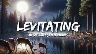 Dua Lipa - Levitating (Lyrics)