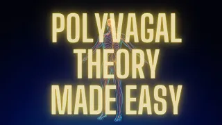 How the Polyvagal Theory Can Change Your Life Forever with Somatic Consent