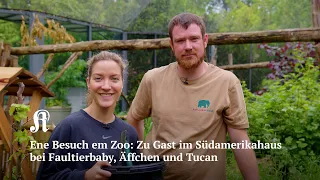 Ene Besuch em Zoo: Zu Gast im Südamerikahaus bei Faultierbaby, Äffchen und Tucan