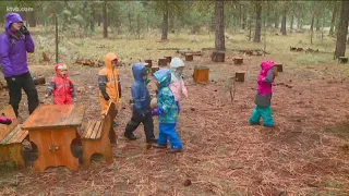 Innovative Educator: Roots Forest School gets kids learning outside