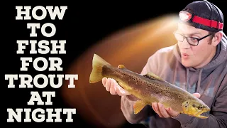 How to fish for trout at night