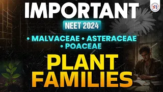 IMPORTANT PLANT FAMILIES FOR NEET 2024 | MALVACEAE, ASTERACEAE, POACEAE | NEET BIOLOGY BY SANKALP