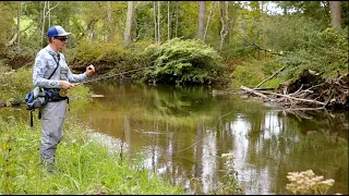 Fly Fishing with Streamers for Fall Trout