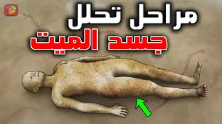 هل تعلم كيف يتحلل جسد الميـ.ـت ومن أين يأتي الدود في القبر وما الجزء الوحيد الذي لا تأكله الأرض؟