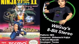 Ninja Gaiden 2: The Dark Sword of Chaos (NES) Soundtrack - 8BitStereo *OLD MIX*