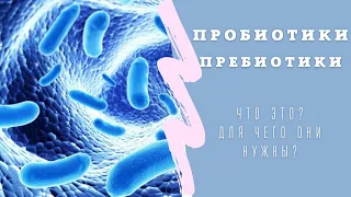 Пробиотики. Пребиотики. Дисбактериоз кишечника. Симбиотики.