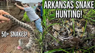 Arkansas Delta Snake Hunting! Cottonmouths, Rattlesnakes, and Watersnakes in the Swamp!
