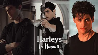 Alec Lightwood - Harleys In Hawaii (you and i) - fvm