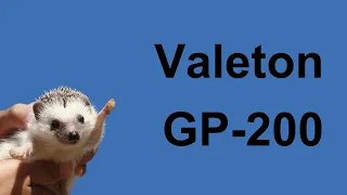 Valeton GP-200 Preset Sound Sample (No Talking)