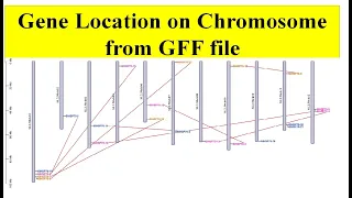 GFF file to find the gene location on chromosome #Gene location in Tbtool