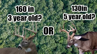 160in 3-year-old or 130in 5-year-old buck?