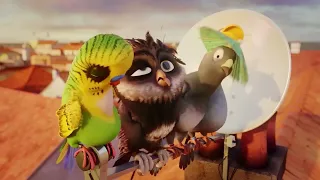 how a cute little sparrow become the leader of the storks | little birds big adventure explained#ins