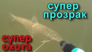 Подводная охота СПЛАВОМ!!! Spearfishing in Volga! Трофейная подводная охота на Волге в июле 2019!!!