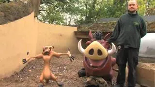 The Lion King 3D - Meerkats at London Zoo featurette