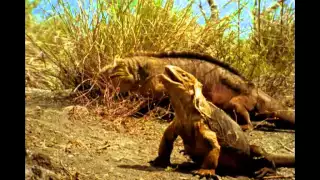 Galapagos Islands National Geographic