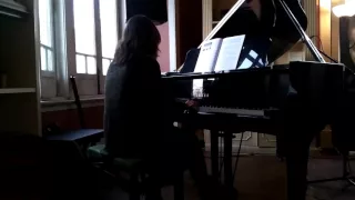 La Valse d'Amelie of Yann Tiersen - Live