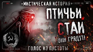 ПТИЧЬИ СТАИ. Ужасы. СССР. Параллельная вселенная. ТАИНСТВЕННОЕ УСТРОЙСТВО. Страшная история.