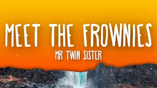 Mr Twin Sister - Meet the Frownies (Lyrics) TikTok Song