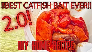 Best Catfish Bait EVER! 2.0 !!! **NEW AND IMPROVED**