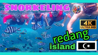 4K VIDEO SO YOU CAN SEE THE FISH !! Snorkeling Trip, Redang Island (2022)