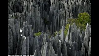Stone Forest   Tsingy de Bemaraha National Park in Madagascar