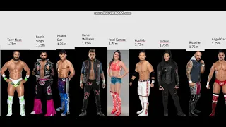 WWE Roster Billed Heights Comparison 2021 (fast version)