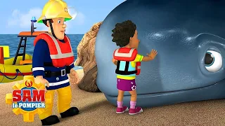 Le sauvetage des baleines ! | Fireman Sam - Dessins animés pour enfants