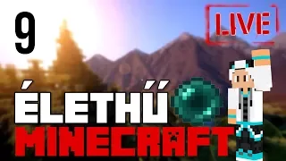 FARMOLJUNK ENDER GYÖNGYÖT!! 🐼 ÉLETHŰ MODOLT Minecraft 9. rész