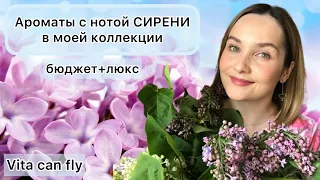 💕Сирень в моей парфюмерной коллекции💕 Бюджетная подборка+немного люкса. Аромат на весну🌿