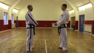 Taekwon-Do One Step Sparring / Ilbo Matsogi