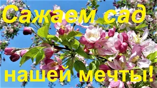 #42 Наша мечта - это иметь свой сад!