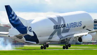 Airbus Beluga XL A330-743L Landing at Chester Hawarden Airport!