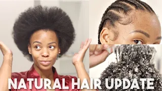 1 YEAR NATURAL HAIR UPDATE! Wash/Blowout/Braid Routine ♡