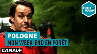 Pologne : Mon week-end en forêt - L’Effet Papillon