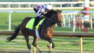 A day in the life of a Preakness jockey | NBC4 Washington