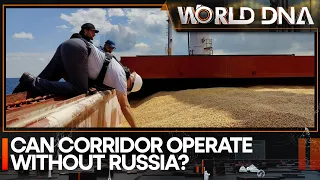 Explained: What is the Ukraine grain deal? | World DNA