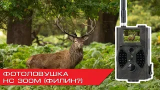 Обзор фотоловушки HC300M (ФИЛИН)