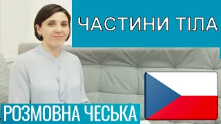 Розмовна чеська - Частини тіла та проблеми зі здоров’ям