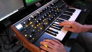 Moog Sub 37 - Funky Sounds Demo by Mike Pensini