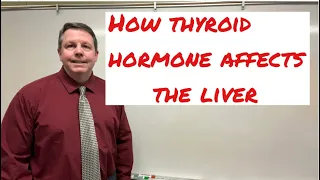 How Thyroid Hormone Affects the Liver