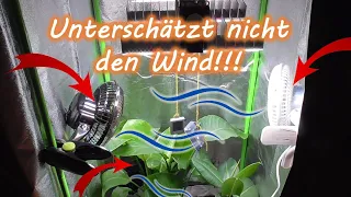 Wie lange den Ventilator in der Growbox rennen lassen? Ab wann? Position? Immer an? Dauerbetrieb?